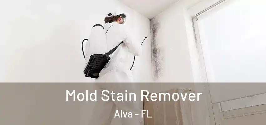  Mold Stain Remover Alva - FL