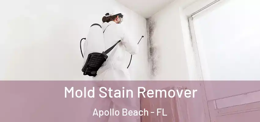 Mold Stain Remover Apollo Beach - FL