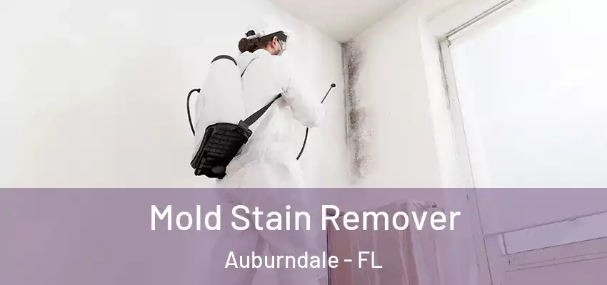 Mold Stain Remover Auburndale - FL