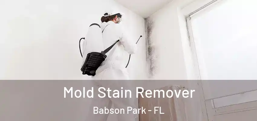  Mold Stain Remover Babson Park - FL
