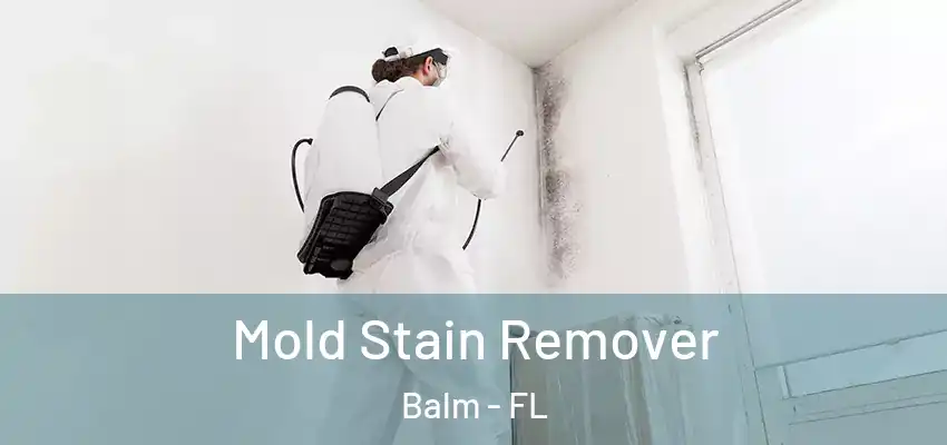  Mold Stain Remover Balm - FL