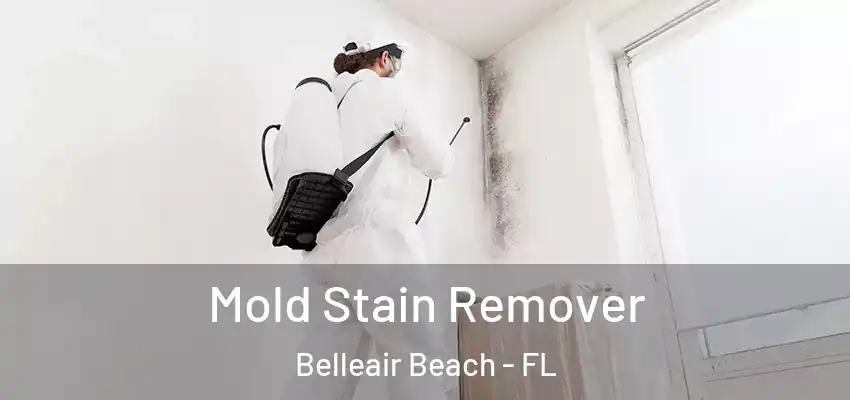  Mold Stain Remover Belleair Beach - FL