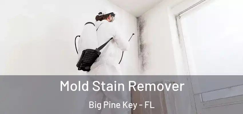 Mold Stain Remover Big Pine Key - FL