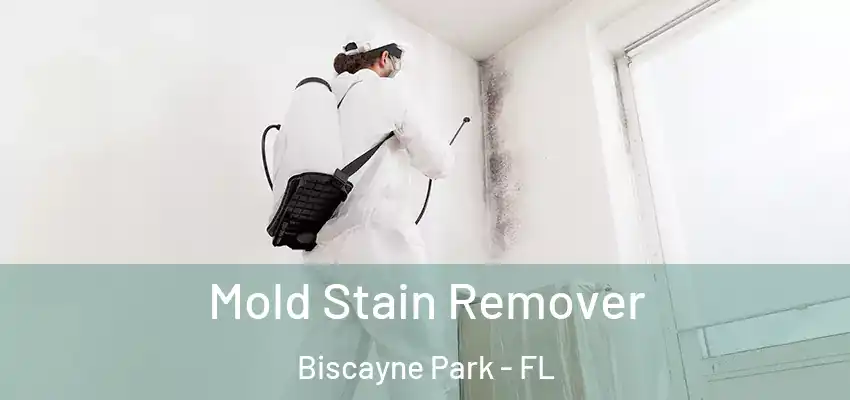  Mold Stain Remover Biscayne Park - FL