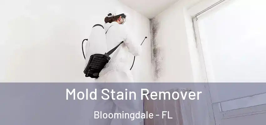  Mold Stain Remover Bloomingdale - FL