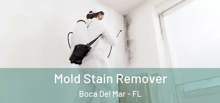 Mold Stain Remover Boca Del Mar - FL