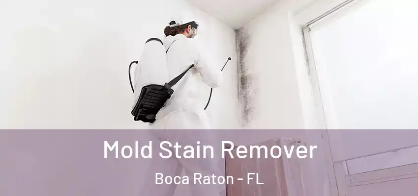  Mold Stain Remover Boca Raton - FL