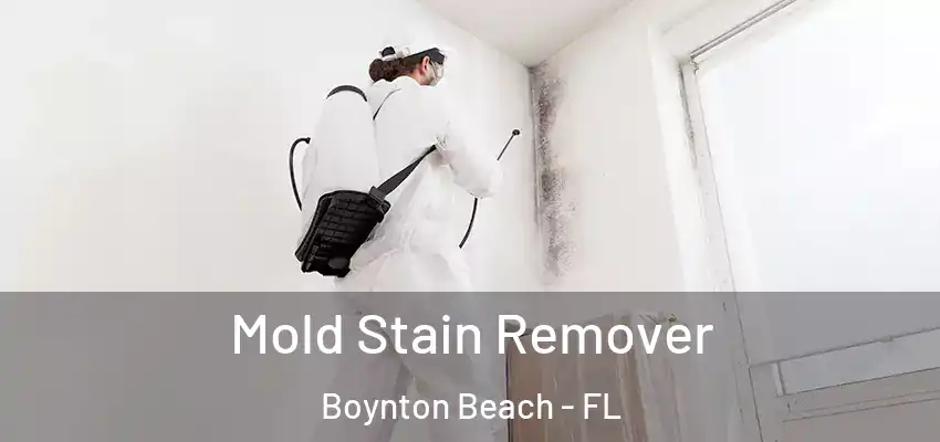 Mold Stain Remover Boynton Beach - FL