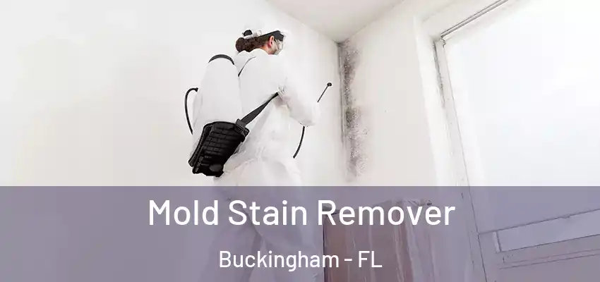  Mold Stain Remover Buckingham - FL