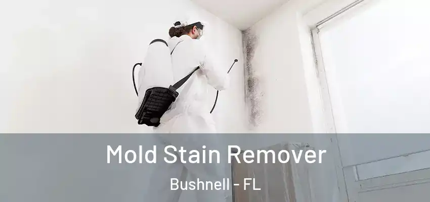  Mold Stain Remover Bushnell - FL
