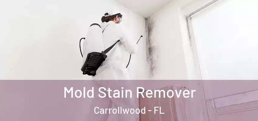  Mold Stain Remover Carrollwood - FL