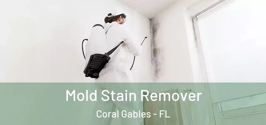  Mold Stain Remover Coral Gables - FL