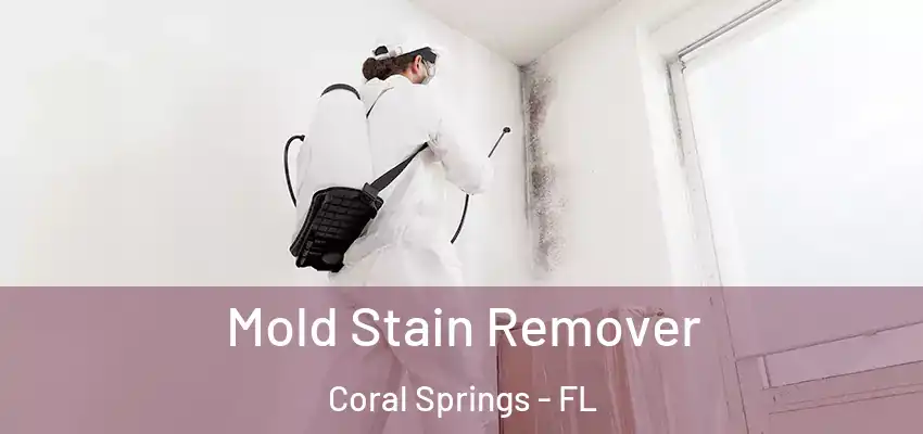  Mold Stain Remover Coral Springs - FL