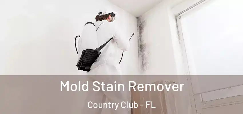 Mold Stain Remover Country Club - FL