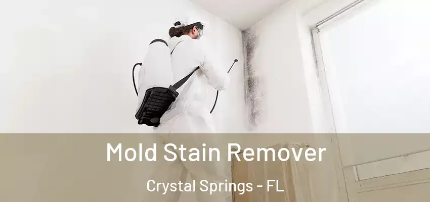 Mold Stain Remover Crystal Springs - FL