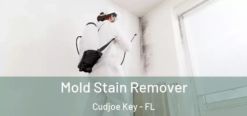 Mold Stain Remover Cudjoe Key - FL