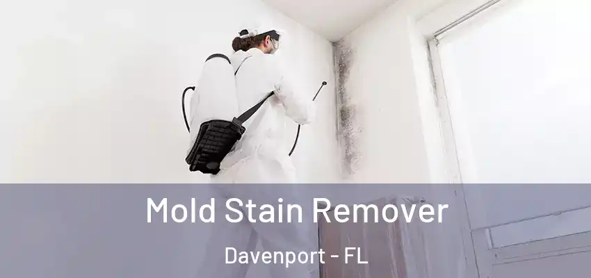 Mold Stain Remover Davenport - FL