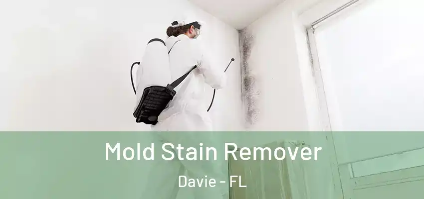  Mold Stain Remover Davie - FL