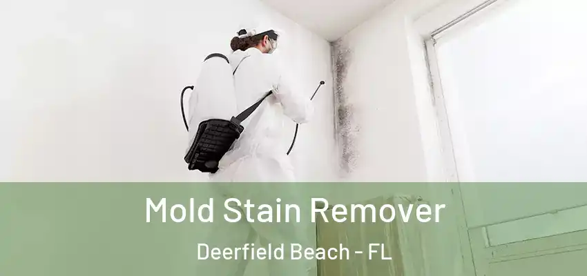  Mold Stain Remover Deerfield Beach - FL