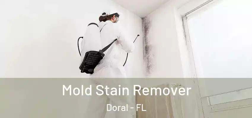 Mold Stain Remover Doral - FL
