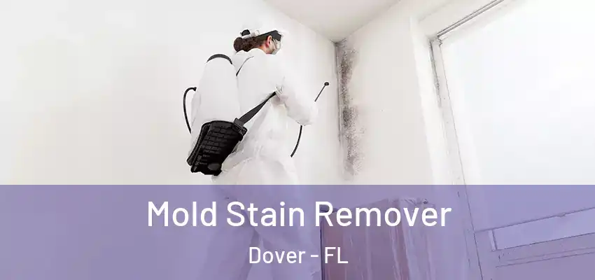  Mold Stain Remover Dover - FL