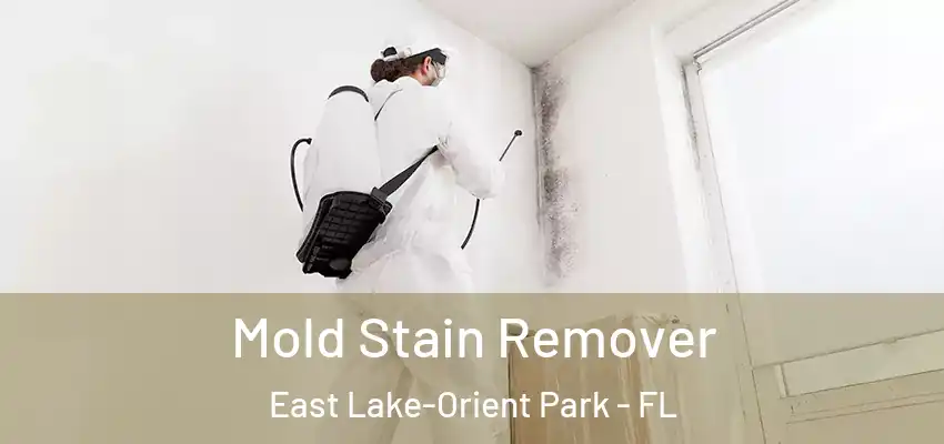 Mold Stain Remover East Lake-Orient Park - FL
