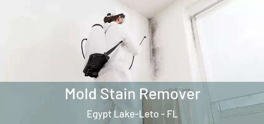  Mold Stain Remover Egypt Lake-Leto - FL