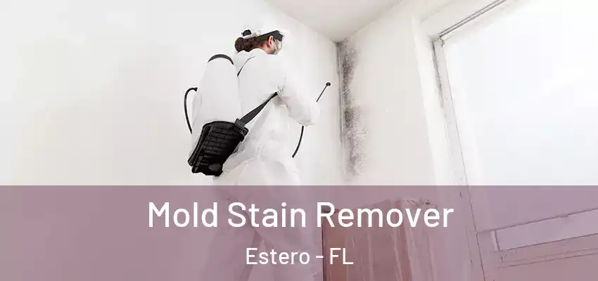 Mold Stain Remover Estero - FL