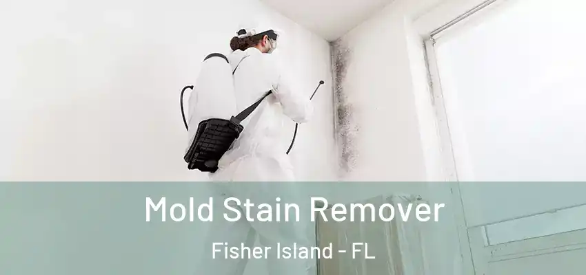 Mold Stain Remover Fisher Island - FL