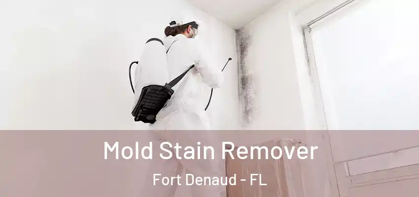 Mold Stain Remover Fort Denaud - FL