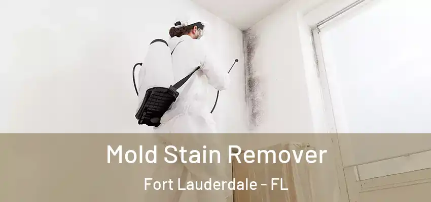  Mold Stain Remover Fort Lauderdale - FL
