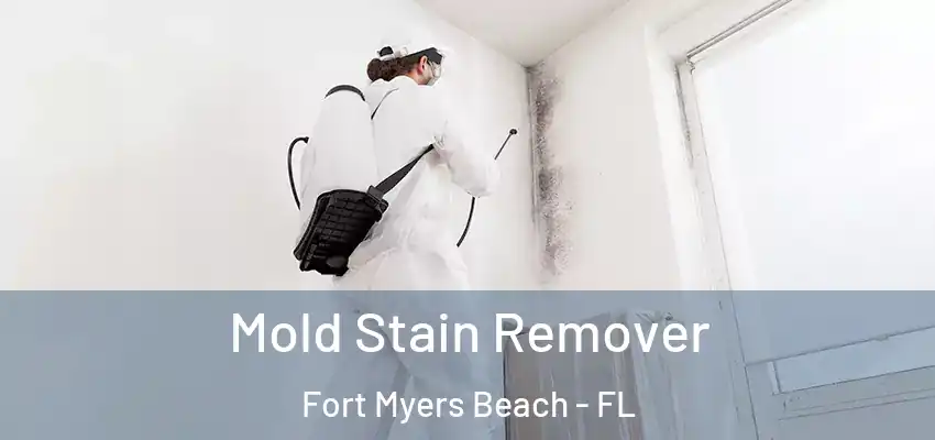 Mold Stain Remover Fort Myers Beach - FL