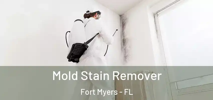  Mold Stain Remover Fort Myers - FL