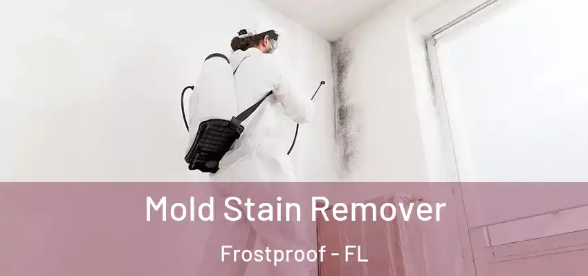 Mold Stain Remover Frostproof - FL