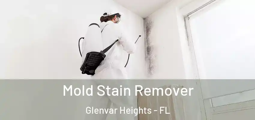Mold Stain Remover Glenvar Heights - FL