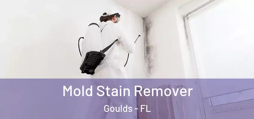  Mold Stain Remover Goulds - FL