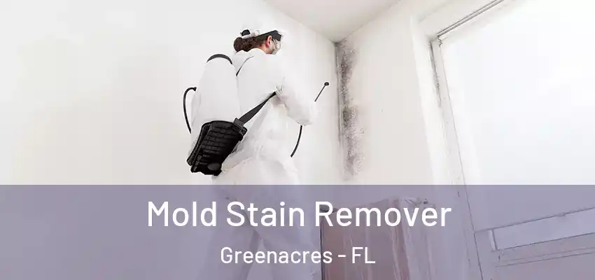  Mold Stain Remover Greenacres - FL