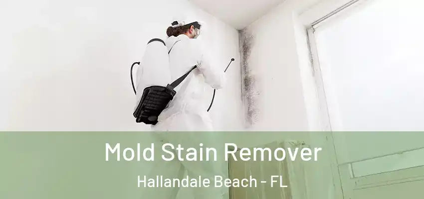 Mold Stain Remover Hallandale Beach - FL