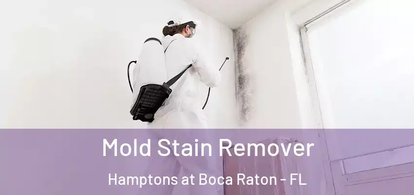  Mold Stain Remover Hamptons at Boca Raton - FL
