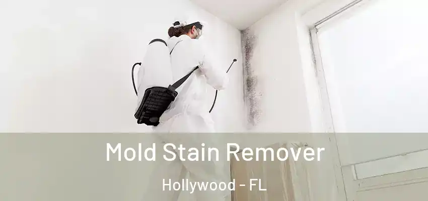  Mold Stain Remover Hollywood - FL