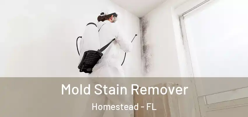 Mold Stain Remover Homestead - FL