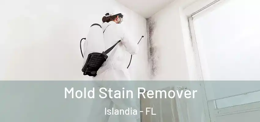 Mold Stain Remover Islandia - FL