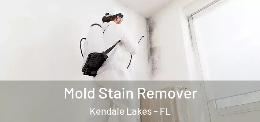  Mold Stain Remover Kendale Lakes - FL