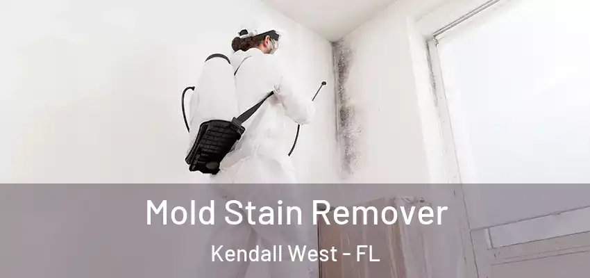  Mold Stain Remover Kendall West - FL