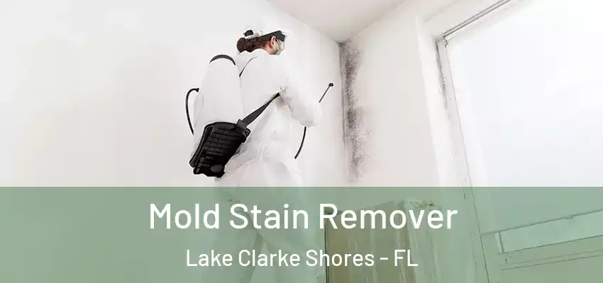 Mold Stain Remover Lake Clarke Shores - FL