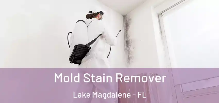 Mold Stain Remover Lake Magdalene - FL