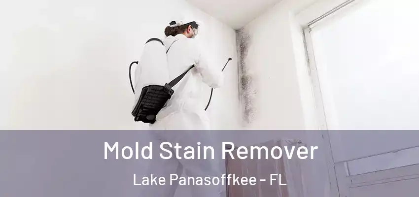  Mold Stain Remover Lake Panasoffkee - FL