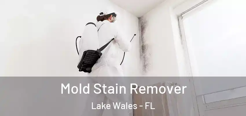  Mold Stain Remover Lake Wales - FL