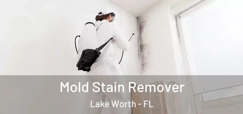  Mold Stain Remover Lake Worth - FL