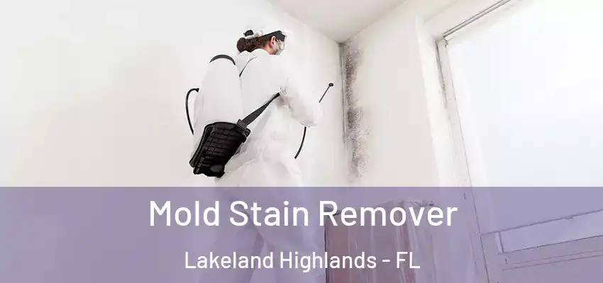  Mold Stain Remover Lakeland Highlands - FL